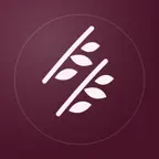 Aestierra: AI Face Analysis Icon