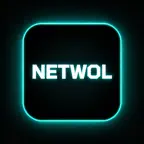 NETWOL iOS Icon