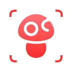 Mushroom Identifier: Fungify iOS Icon