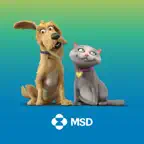 Pet Diabetes Tracker iOS Icon