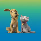 Pet Diabetes Tracker iOS Icon