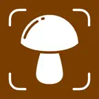 Mushroom Identifier – Mushrum iOS Icon