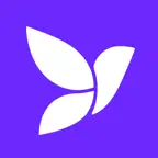 Kioki: Language Flashcards Icon