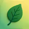Tree Leaf Identifier