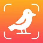 Bird Identifier – Birdium icon