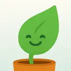 HappyLeaf: AI Plant Identifier iOS Icon