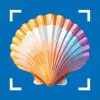 Sea Shell Identifier & Scan iOS Icon