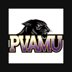 Panther Moves iOS Icon