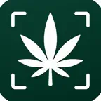 Cannabis Scan: THC & Kush iOS Icon