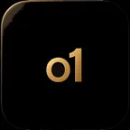 o1 Access Icon