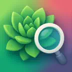 Succulent Identifier App iOS Icon