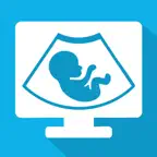 Obstetrics & Gynecology Prep iOS Icon