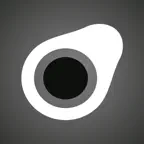 avoGate VPN icon