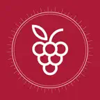 Wine Vintage Scanner - VinSip iOS Icon
