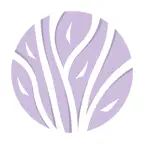 Branchee iOS Icon