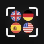 Flag Identifier: AI Scanner iOS Icon