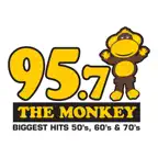 95.7 The Monkey Icon