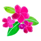 Miramelinda Montessori iOS Icon