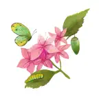 Meadowsweet Montessori iOS Icon
