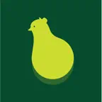 Buddy Drive icon