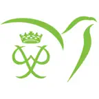 IGE & Forum 2025 iOS Icon