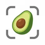 AI Calorie Tracker: Avocal iOS Icon