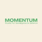 MOMENTUM STUDIE Icon