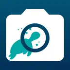Seamera: Underwater Editor iOS Icon