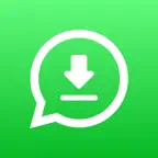 Status Saver: Story Downloader iOS Icon