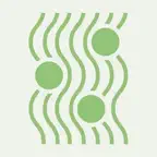 SPI iOS Icon