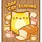 Loaf Cat Sliding iOS Icon