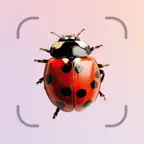 Bug ID - AI Insect Identifier Icon