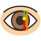 Eyelid, Ptosis, Blepharoplasty iOS Icon