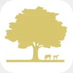 Team Nijhof iOS Icon