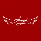 ANGEL VR | Сыктывкар iOS Icon