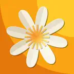 HomeCraft: DIY Projects, Ideas iOS Icon
