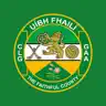 Offaly GAA