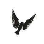 Ali Ahmed AlDhaheri Properties iOS Icon