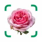 Plant Identifier & Benefits iOS Icon