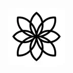 Mirror Drawing Studio icon