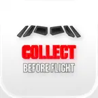 Collect Before Flight Icon