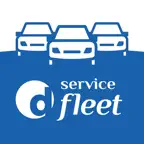 D-Service Fleet iOS Icon