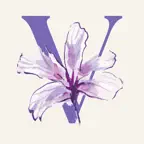 Vulvodynia Journey iOS Icon