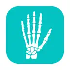 Bone Age Height Predictor iOS Icon