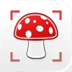 Picture Mushroom Identifier iOS Icon