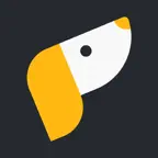 Spotalign: Compliance & Safety Icon