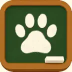 猫とAIで学ぶ韓国語文法勉強アプリ: K-Grammar iOS Icon