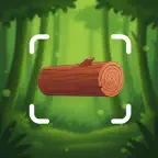 Wood Identifier : Scan & Learn iOS Icon