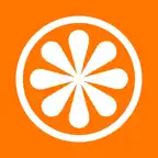 Tangerine icon