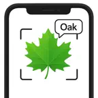 Leaf, Tree & Plant Identifier iOS Icon